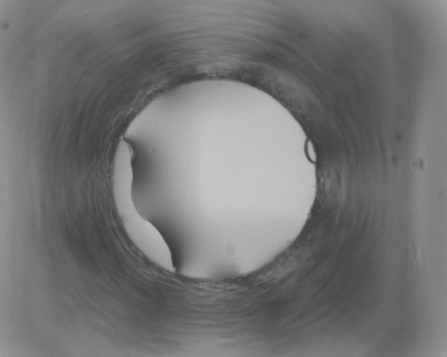 X0000083041012200702231924