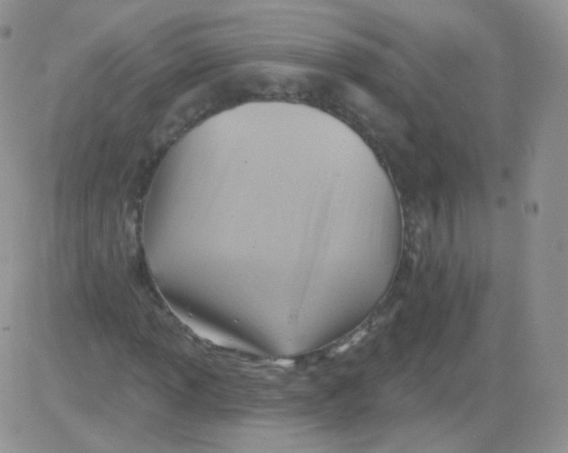 X0000083041013200702231924