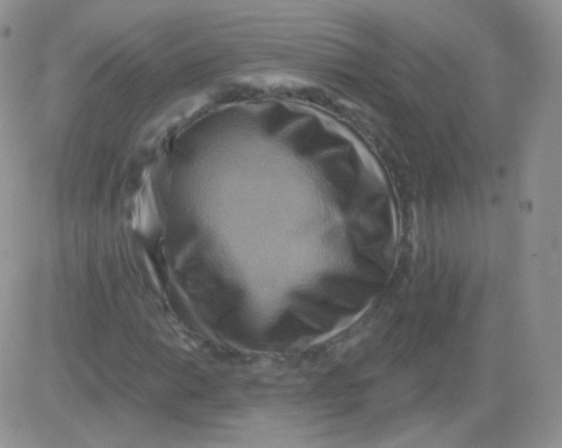 X0000083041014200702231924