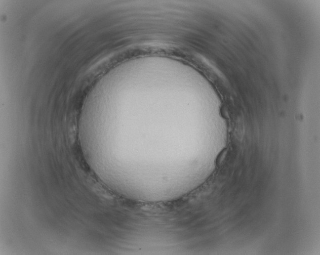 X0000083041015200702231924