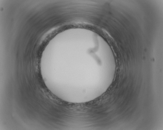 X0000083041016200702231924