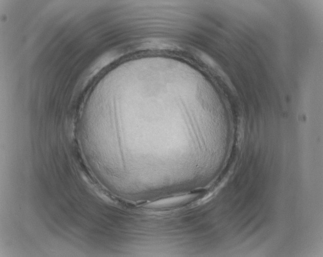 X0000083041017200702231924