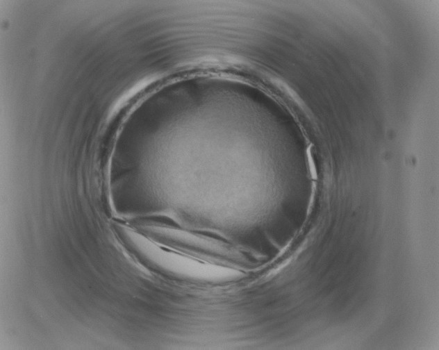 X0000083041018200702231924