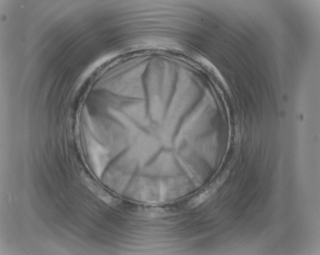 X0000083041019200702231924