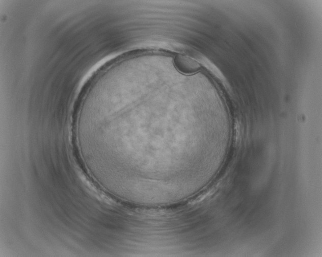 X0000083041020200702231924