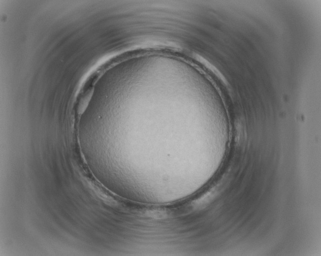 X0000083041021200702231924