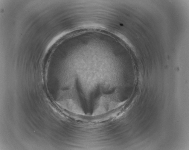 X0000083041022200702231924