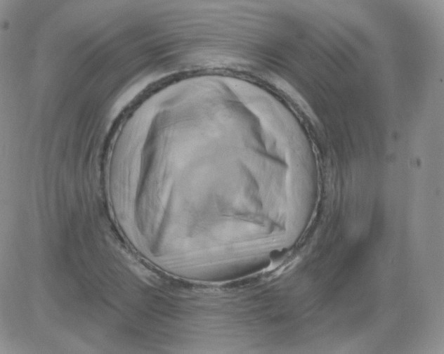 X0000083041023200702231924