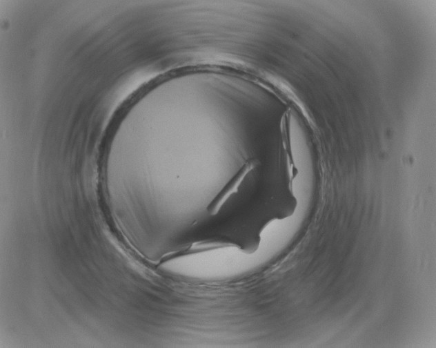 X0000083041024200702231924