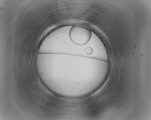 X0000083041025200702231924