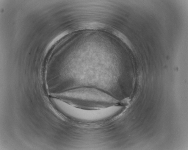 X0000083041026200702231924