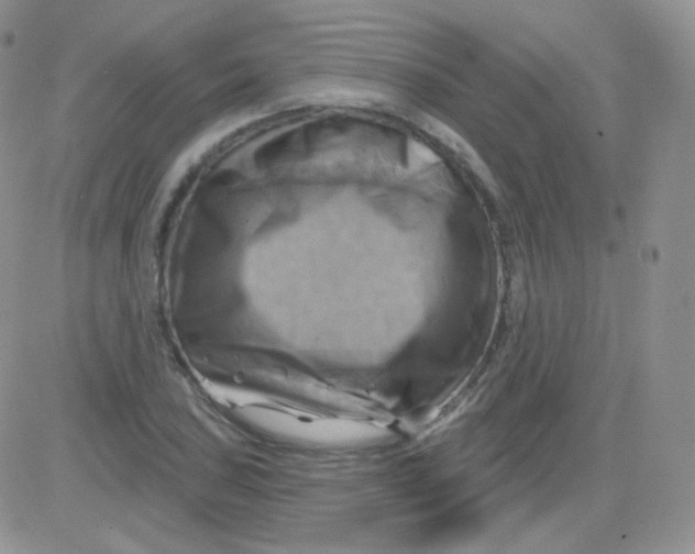 X0000083041027200702231924