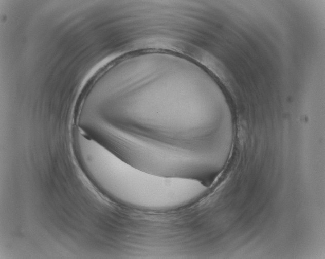 X0000083041028200702231924