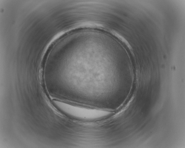 X0000083041029200702231924