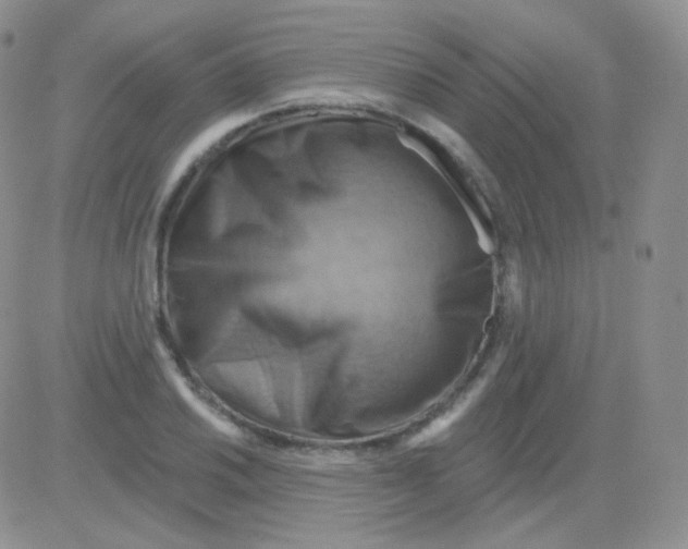 X0000083041030200702231924