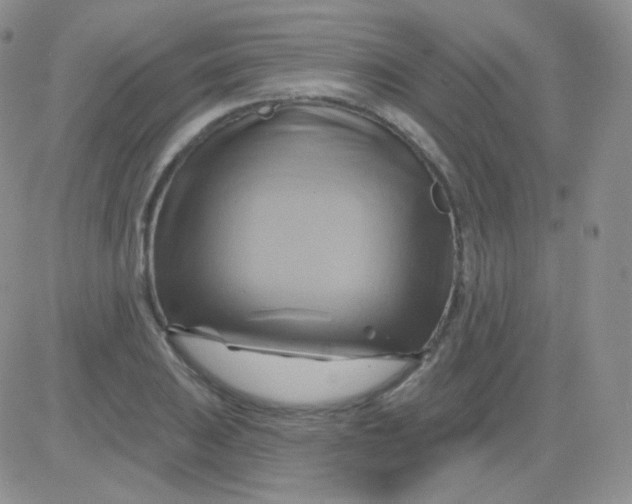 X0000083041031200702231924