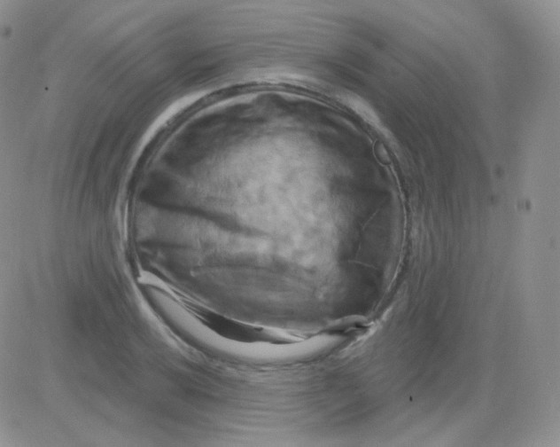 X0000083041032200702231924