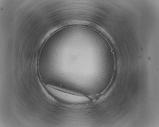 X0000083041033200702231924