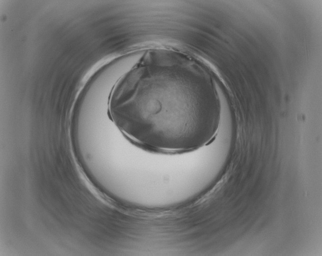 X0000083041034200702231924