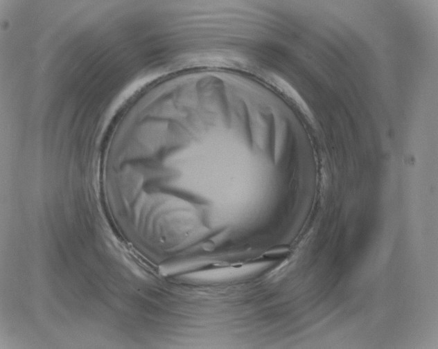 X0000083041035200702231924