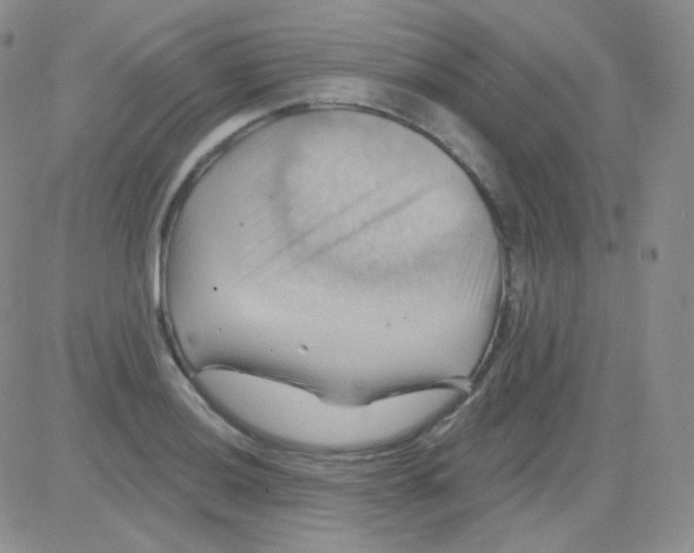 X0000083041036200702231924