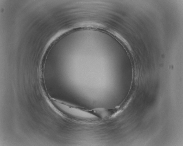 X0000083041037200702231924