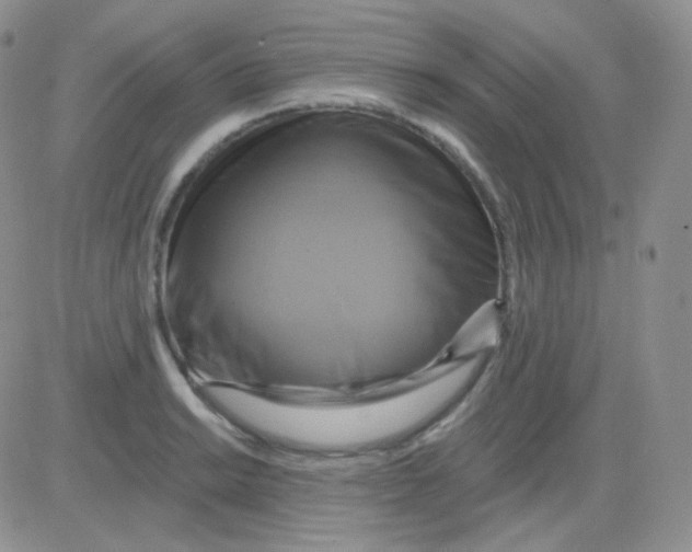 X0000083041038200702231924