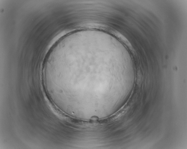 X0000083041039200702231924