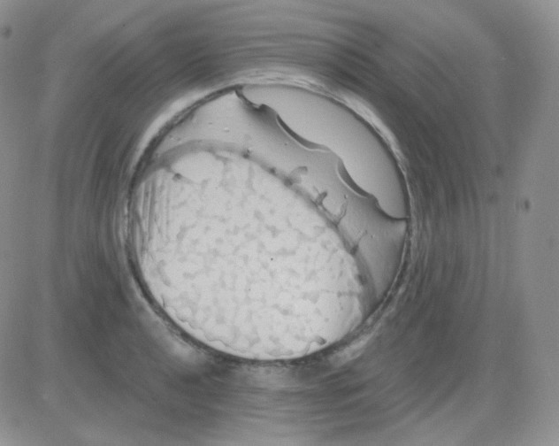 X0000083041040200702231924