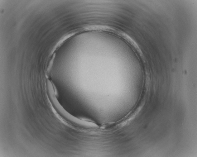 X0000083041041200702231924