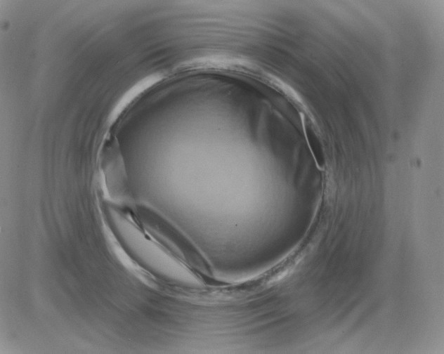 X0000083041042200702231924