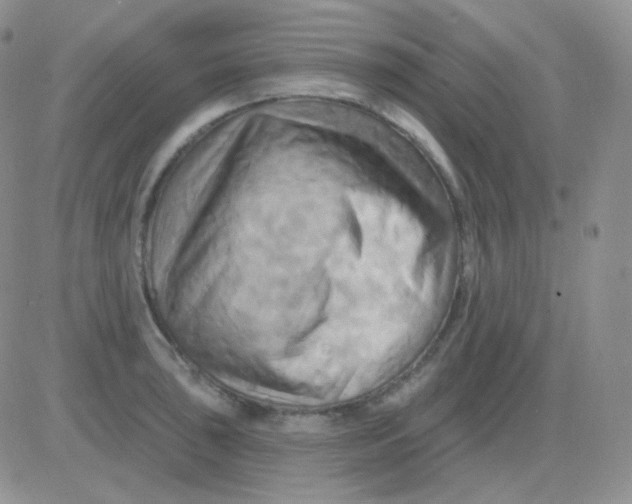 X0000083041043200702231924