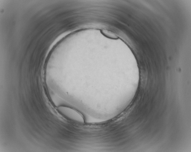 X0000083041044200702231924