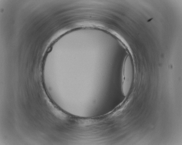 X0000083041045200702231925