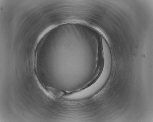 X0000083041046200702231925