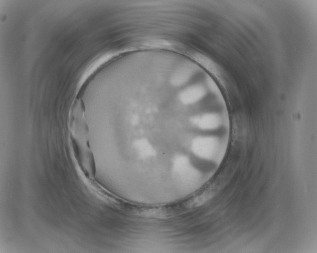 X0000083041047200702231925