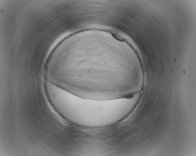 X0000083041048200702231925