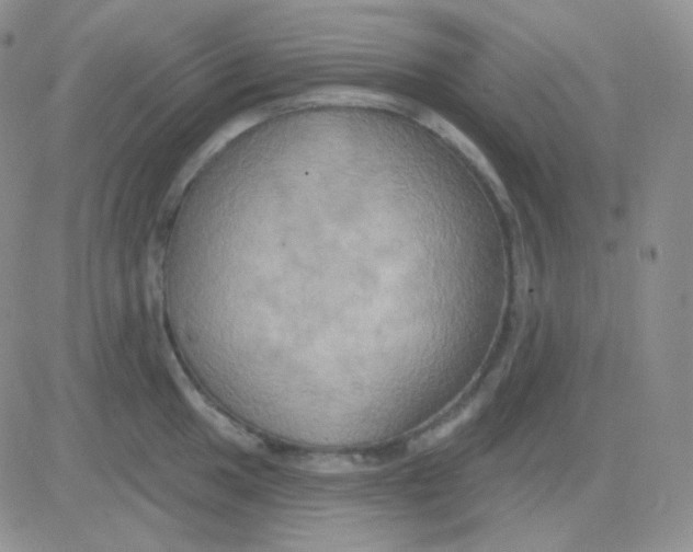 X0000083041049200702231925