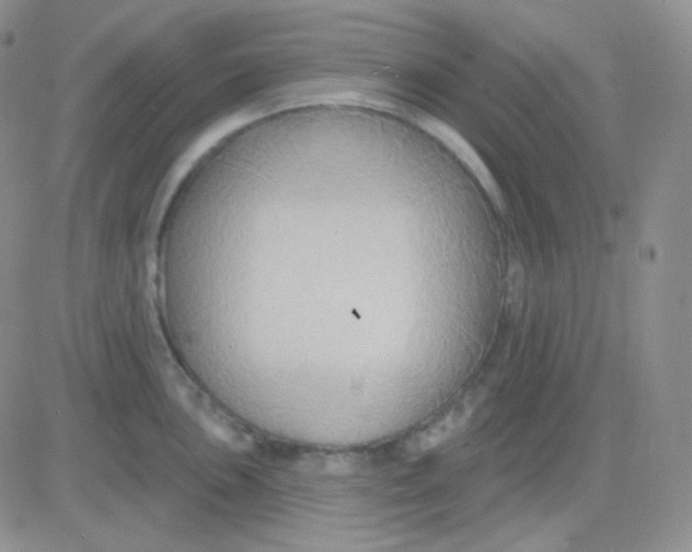 X0000083041051200702231925