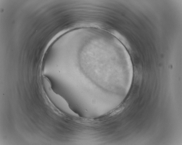 X0000083041052200702231925