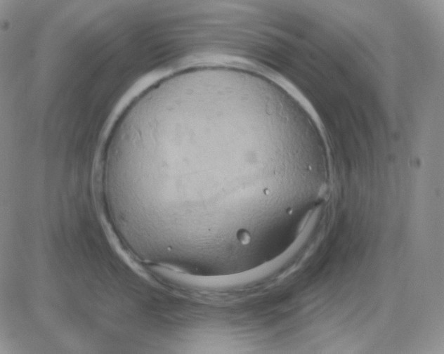 X0000083041053200702231925