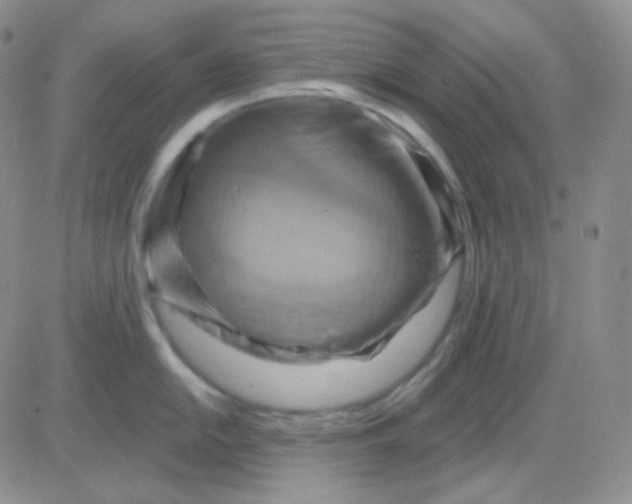 X0000083041054200702231925