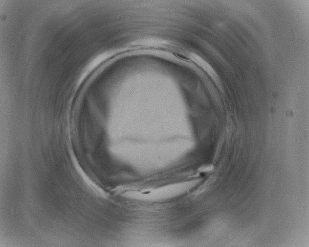 X0000083041055200702231925