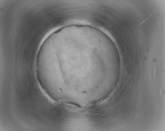 X0000083041056200702231925