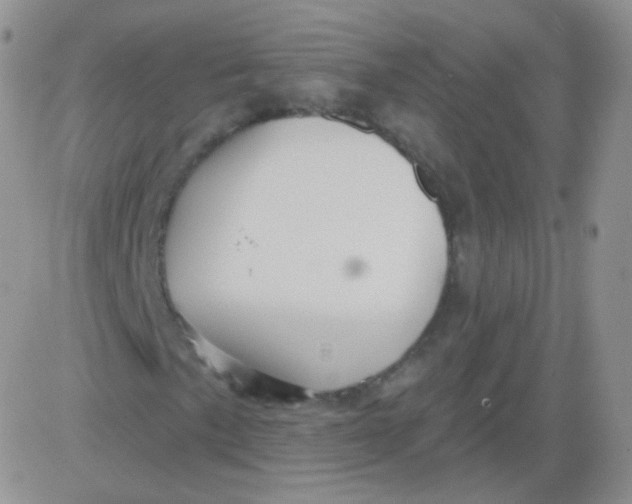 X0000083041057200702231924