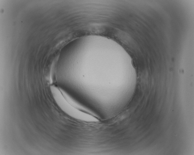 X0000083041058200702231924