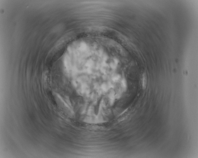 X0000083041059200702231924