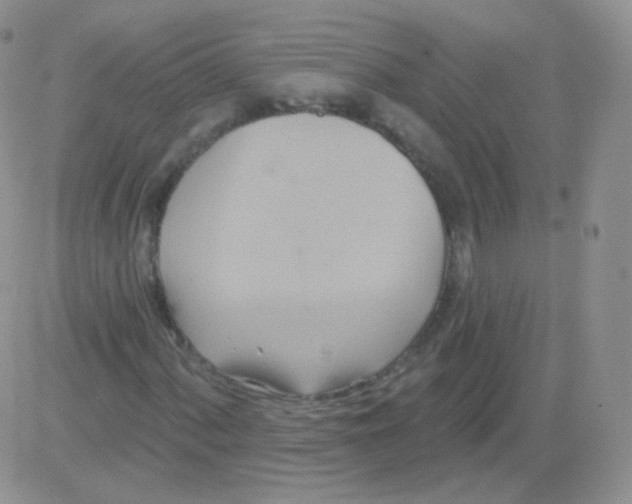 X0000083041060200702231924