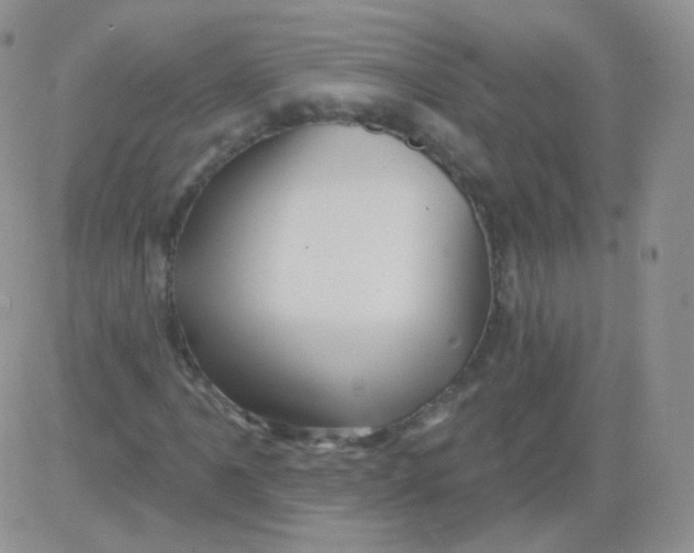 X0000083041061200702231924