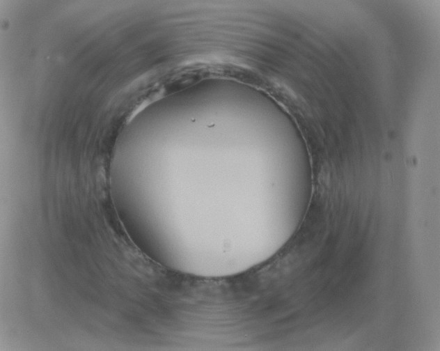 X0000083041062200702231924